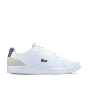 lacoste ampthill pas cher